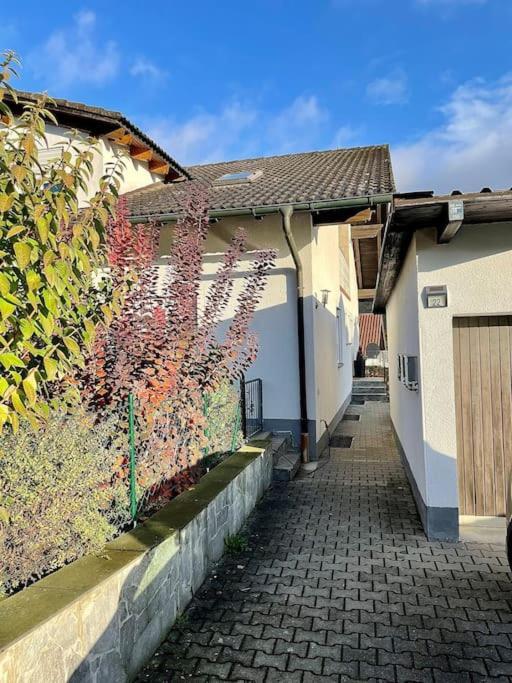 Modernes Apartment Mit Top Ausstattung Und Kamin Im Oberpfaelzer Seenland Nittenau Zewnętrze zdjęcie