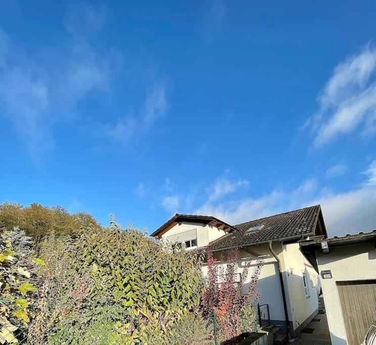 Modernes Apartment Mit Top Ausstattung Und Kamin Im Oberpfaelzer Seenland Nittenau Zewnętrze zdjęcie